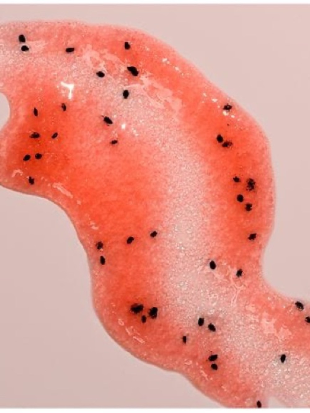 Tree Hut Watermelon Shea Sugar Scrub - Picture 3 of 4